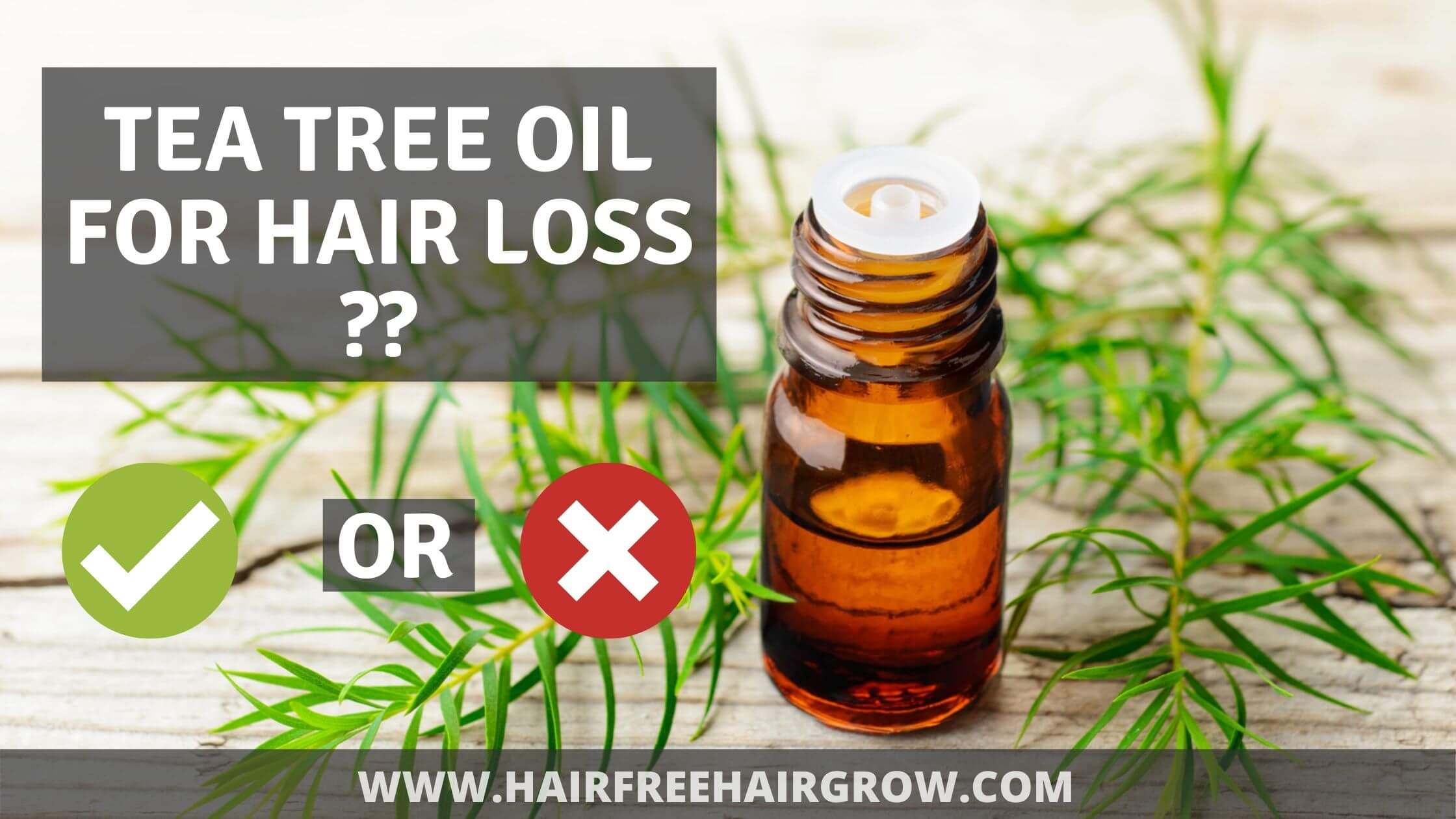 a small glass bottle filled with tea tree essential oil to be used for hair loss